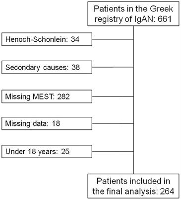 Validation of the International IgA Nephropathy Prediction Tool in the Greek Registry of IgA Nephropathy